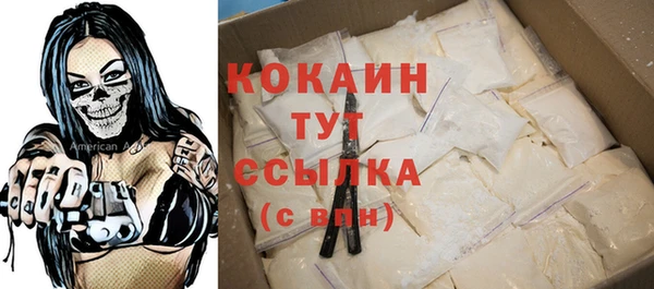 МДПВ Абаза