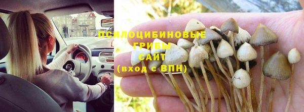 соль ск Новодвинск